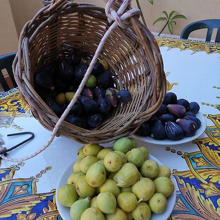 B&B Domus Candida Calatabiano Zewnętrze zdjęcie