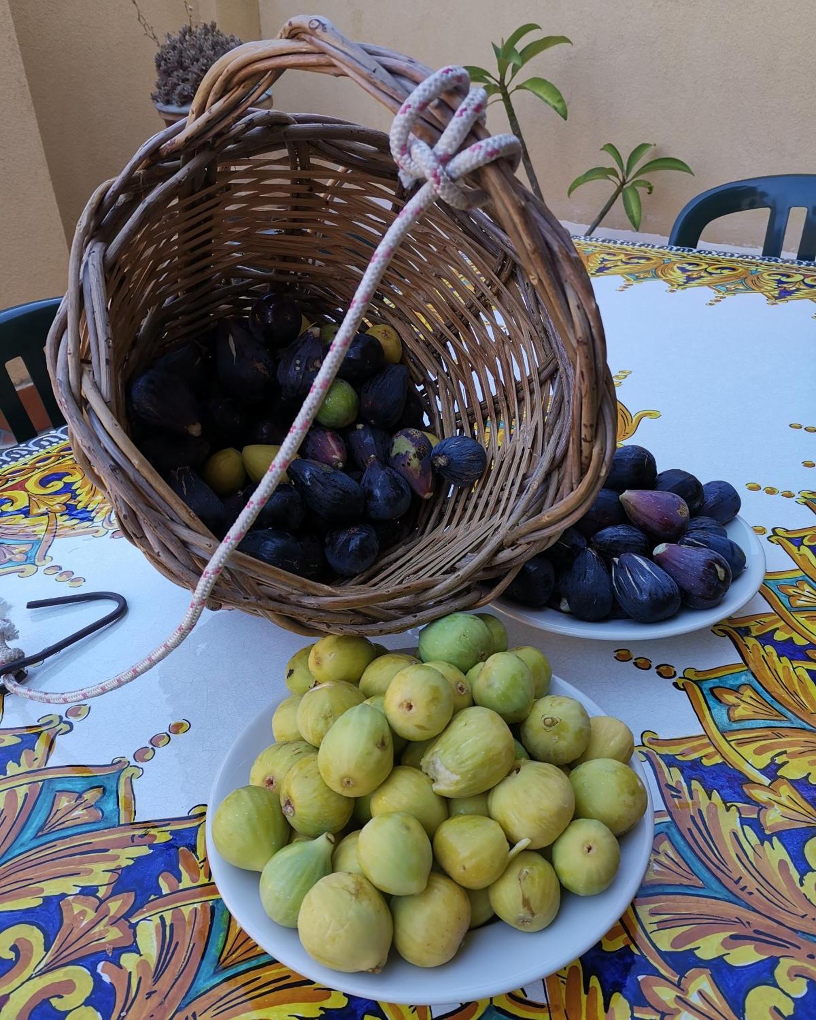 B&B Domus Candida Calatabiano Zewnętrze zdjęcie